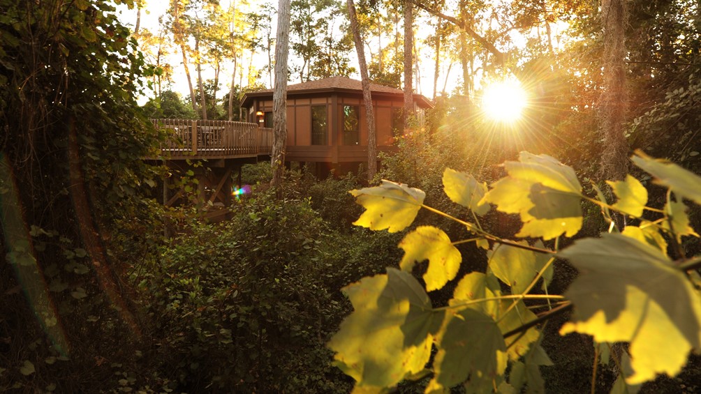 Treehouse
